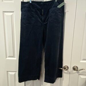 Anthropologie Navy corduroy size 18W plus NWT